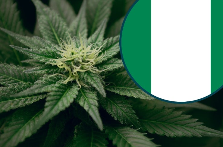 Is Weed Legal in Nigeria?