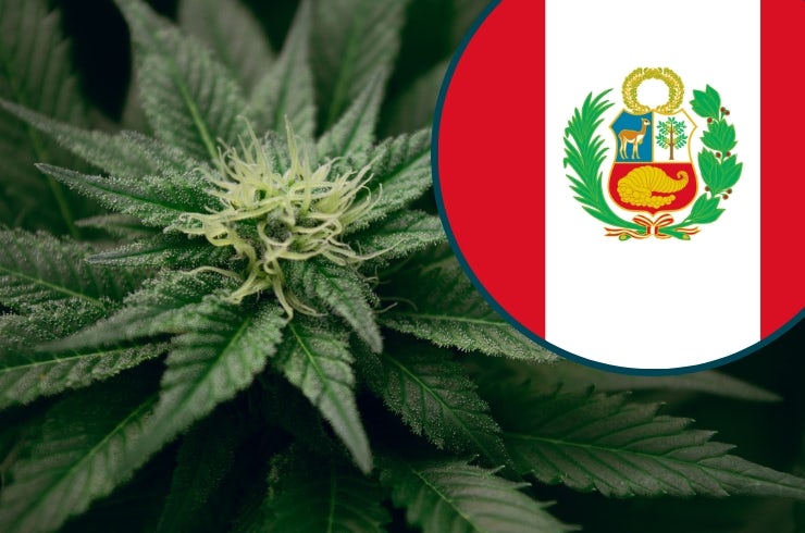 Is Weed Legal in Peru?