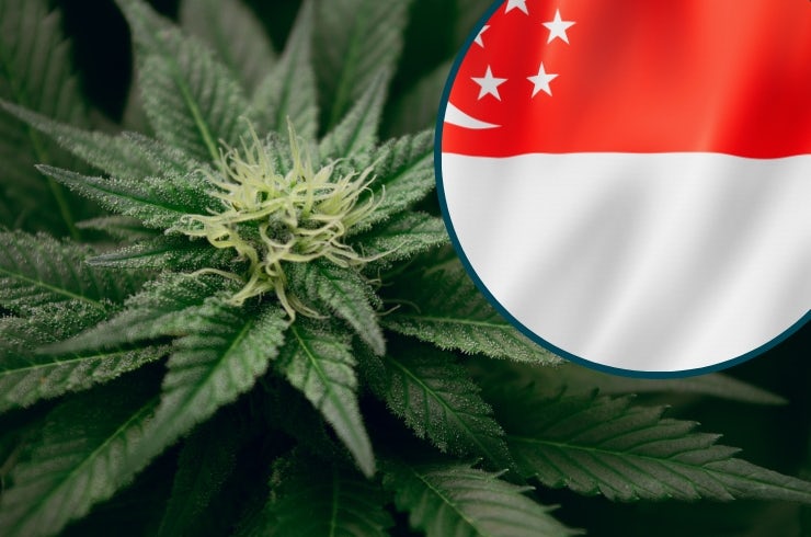 Is Weed Legal in Singapore?