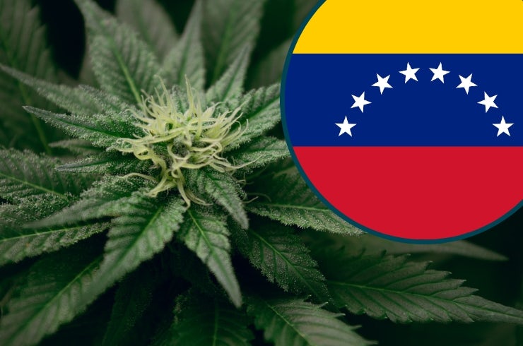 Is Weed Legal in Venezuela?