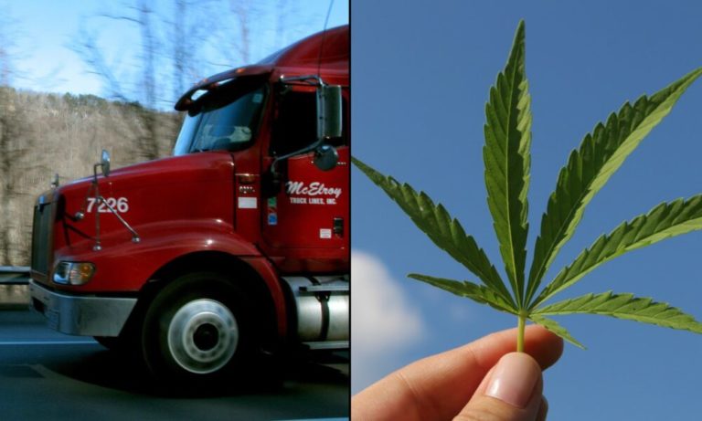 Majority Of Truckers Support Marijuana Legalization And Testing Reform Amid Labor Shortage, Industry Report Finds