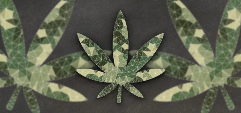 Study: 91% of Military Vet Cannabis Patients Say It Improved Their Quality of Life