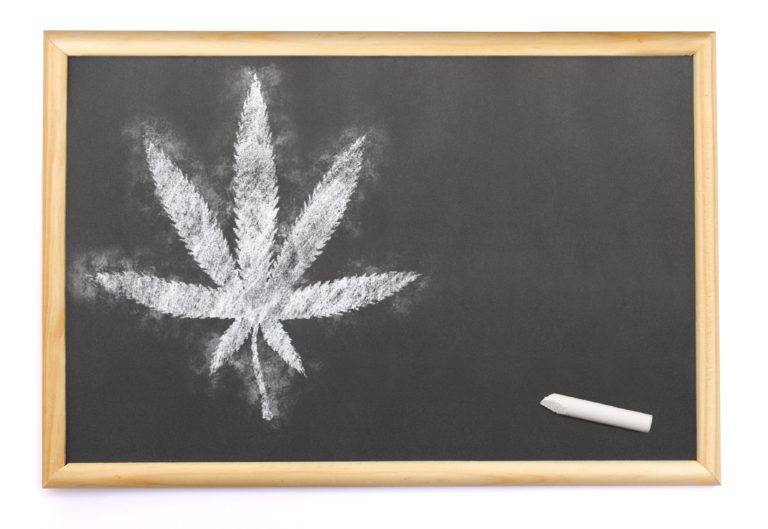 Is Weed Education Resonating With the Public?