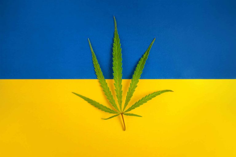 Ukrainian Immigrants Open Dispensary in West Virginia