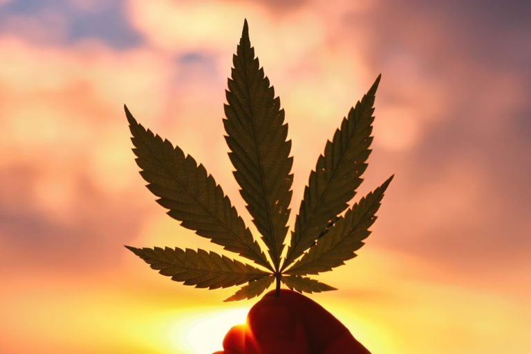 Wisconsin Lawmakers Introduce Bill To Legalize Cannabis