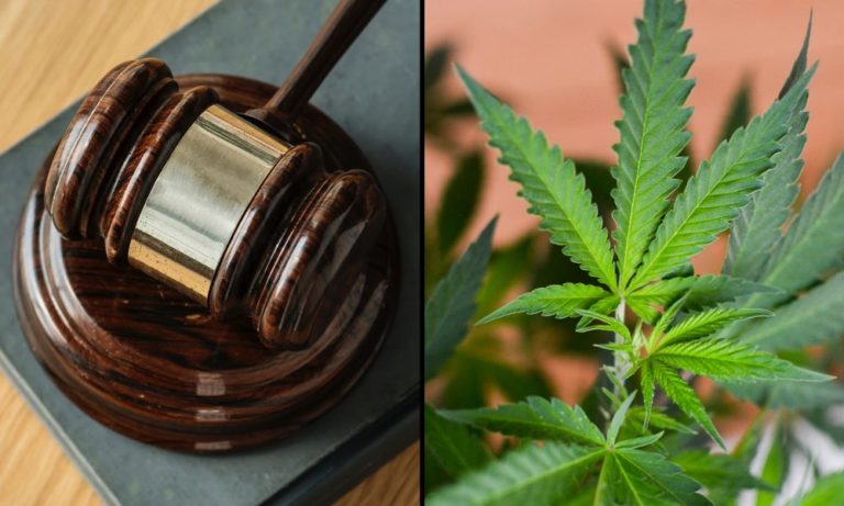 Minnesota Lawsuit Alleges Marijuana Regulators Wrongly Denied Applications For Social Equity Licenses