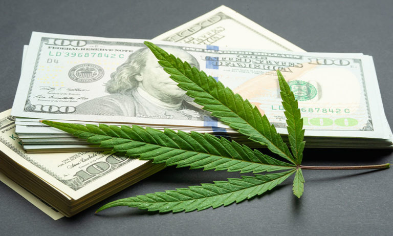 Higher Yields Consulting Will Help Boost Your Cannabusiness