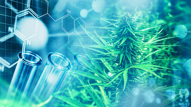 The Cannabis Cancer Connection | Project CBD