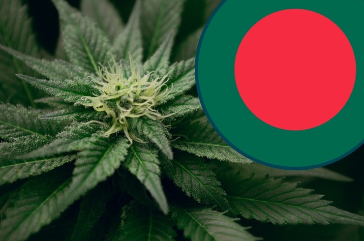 Is Weed Legal in Bangladesh?