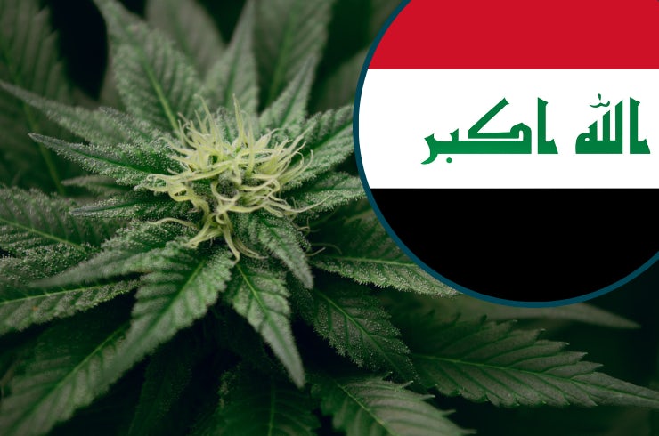 Is Weed Legal in Iraq?