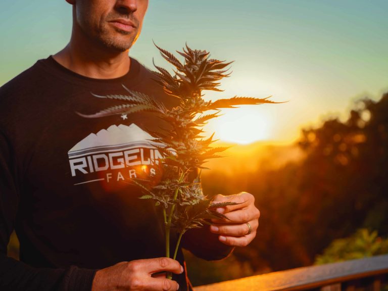 Ridgeline Lights the Way | High Times