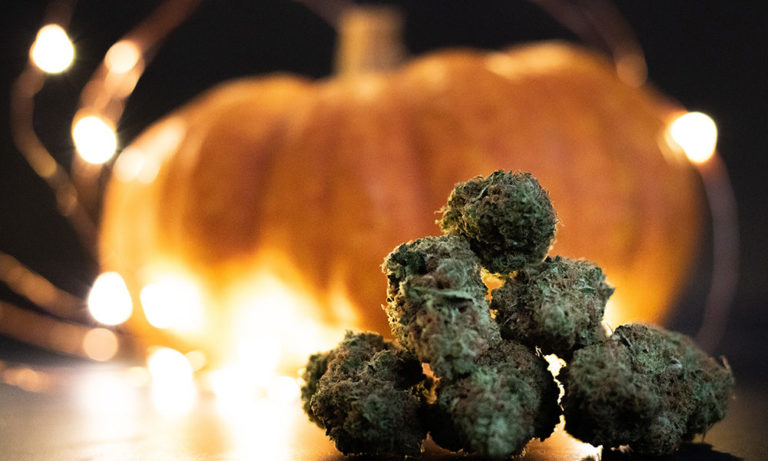 The Top 10 Strains for Your Halloween Weekend