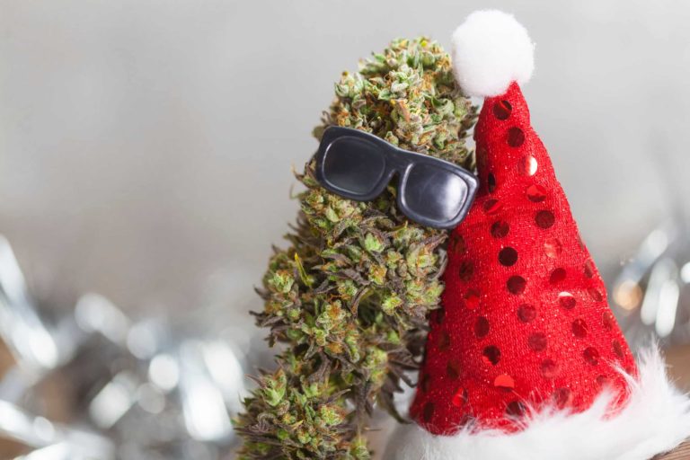 Christmas Marijuana (and Mushroom) Decorations to Liven Up the Season