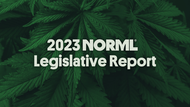 Read NORML’s 2023 End-of-Year Legislative Progress Report