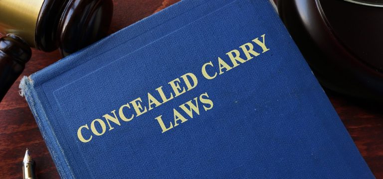 Voter Initiative Seeks to Let Cannabis Consumers Obtain Concealed Carry Permits