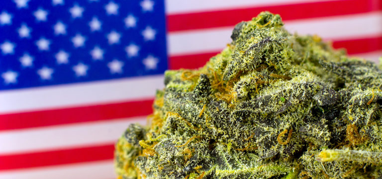 Pew Research: 88% of Americans Support Some Form of Cannabis Legalization