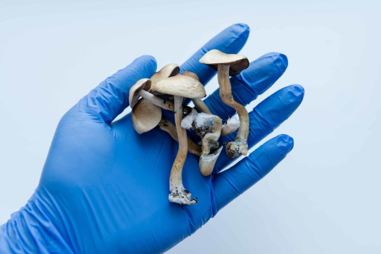 Researchers Find New Way To Measure Potency of Mushrooms