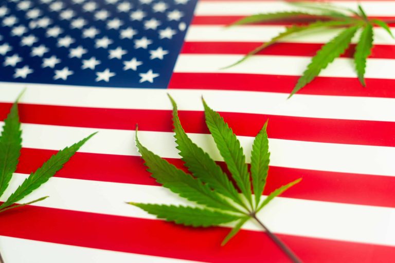 DEA Moves To Reclassify Cannabis Under Schedule III in Historic Move, Report Indicates