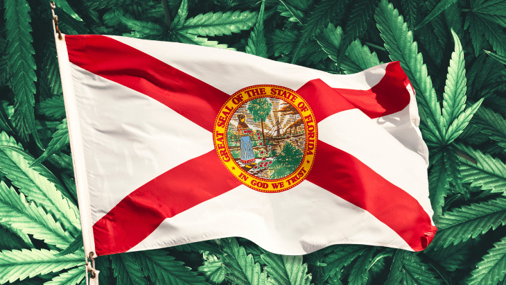 Florida: Voters Will Decide Marijuana Sales Measure This November