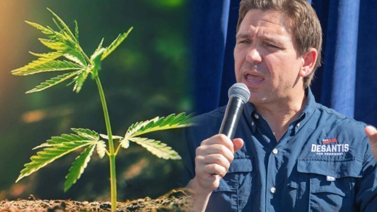 DeSantis Likely To Veto Hemp Bill that Would Limit THC, Sources Say