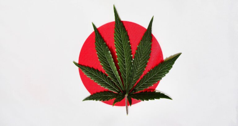 Japan Government Opens Public Comment Period for Cannabis Reform