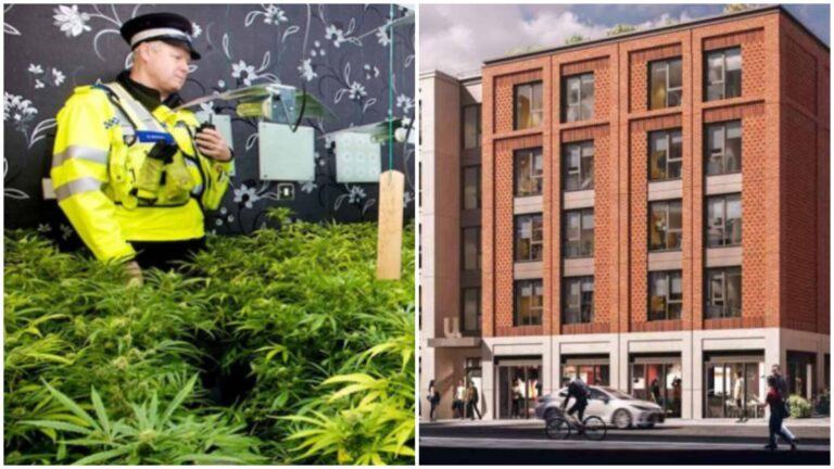 ‘Cannabis Factories’ in U.K. To Be Cleared for Student Housing