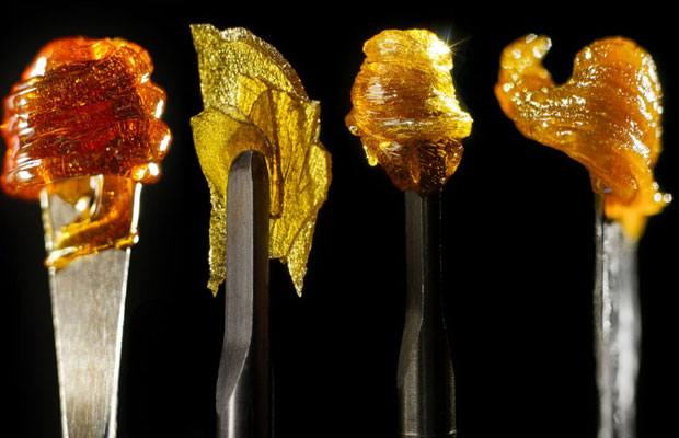 An Introduction to Cannabis Concentrates