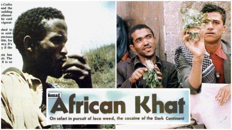 From the Archives: African Khat (1978)