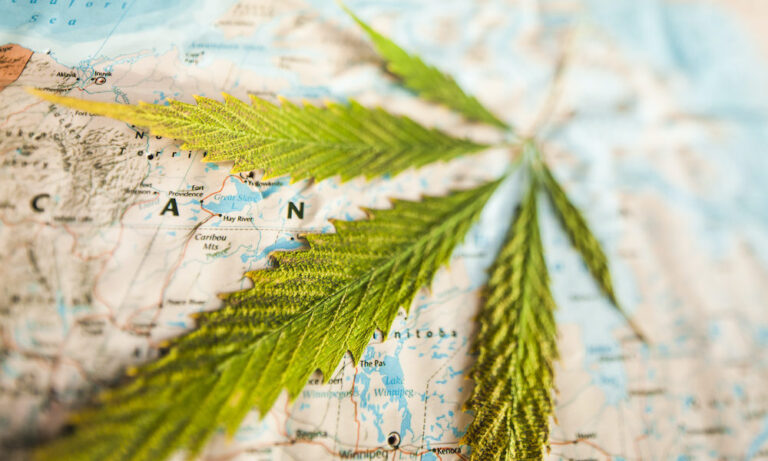 Travel Vicariously With These International Cannabis Features