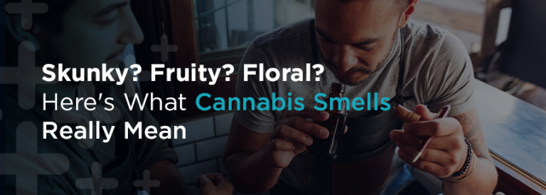 What Does Weed Smell Like Before and After Being Smoked?