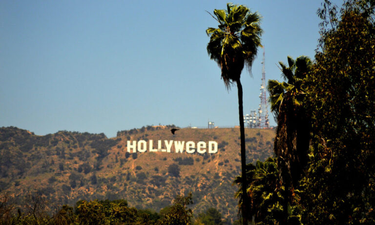 Hollyweed: What Strains Do Celebrities Smoke?