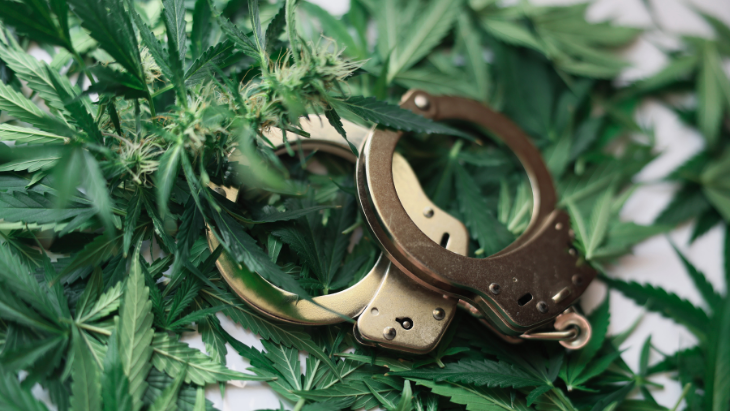 FBI: Marijuana-Related Arrests Comprised Over 40 Percent of All Drug Arrests in More Than a Dozen States in 2023