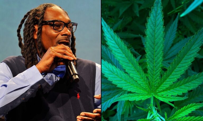 Snoop Dogg Plays Marijuana Meteorologist On The TODAY Show, Delivering Forecasts For Real Cities Like Blaze, Kentucky And Stoner, Colorado