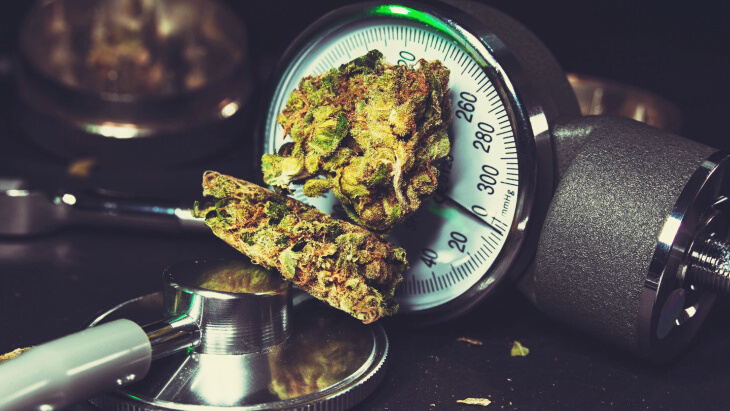 Lifetime Cannabis Use Not Associated With Elevated Risk of Hypertension