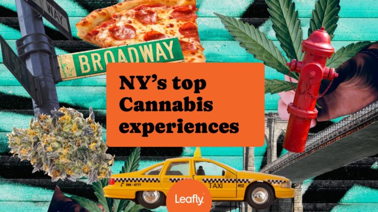 New York’s essential cannabis experiences [November 2024]