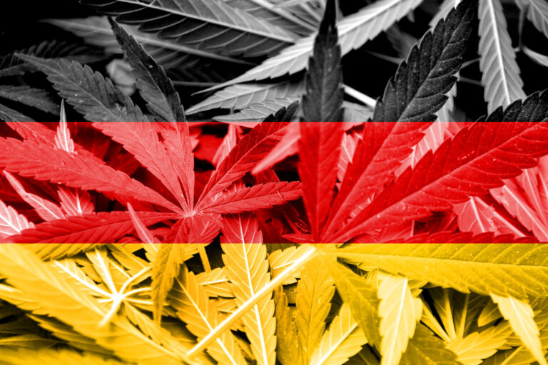 What Does Legal Cannabis the EU’s Economic Powerhouse Look Like?